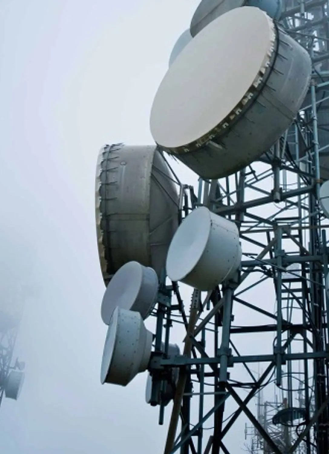 Microwave dishes mounted on a telecom tower